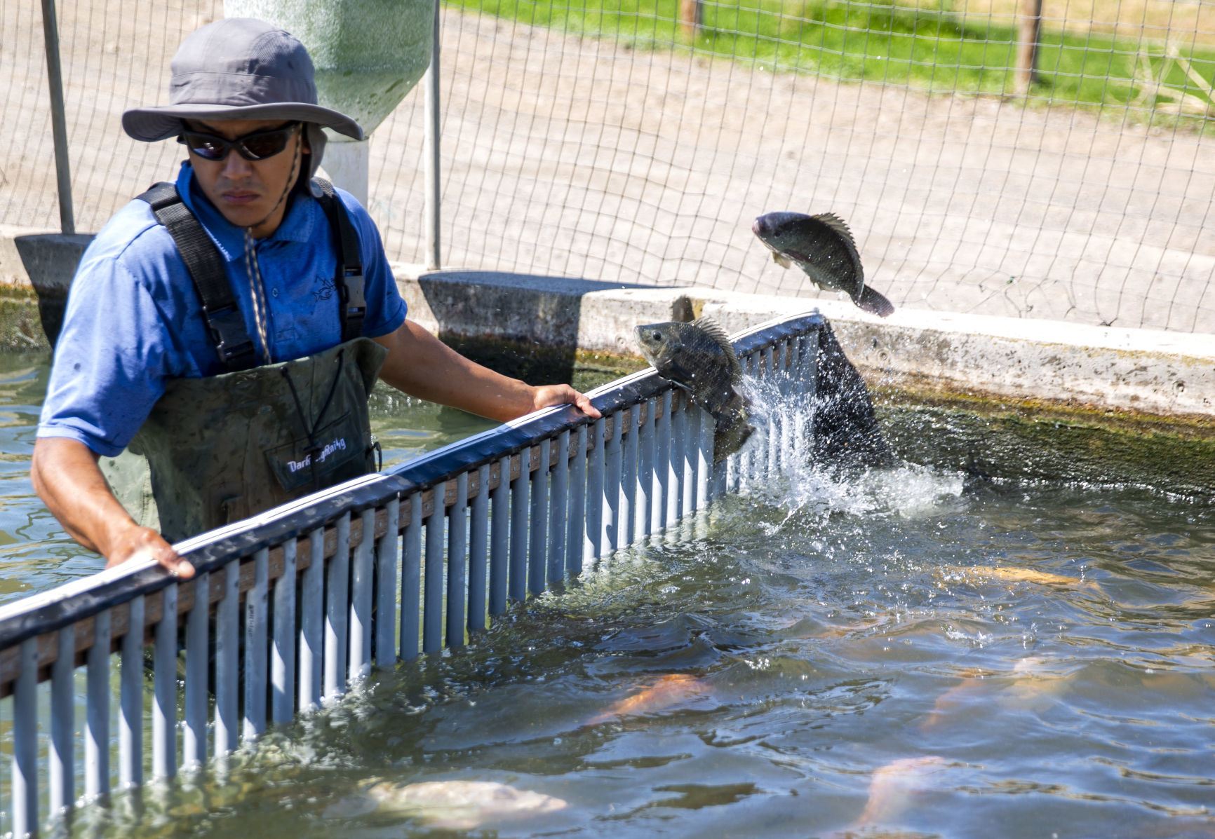Aquaculture industry takes a hit with coronavirus closures